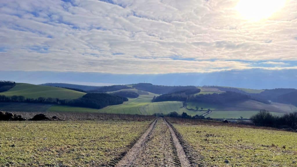 South Downs Marathon - James Reed